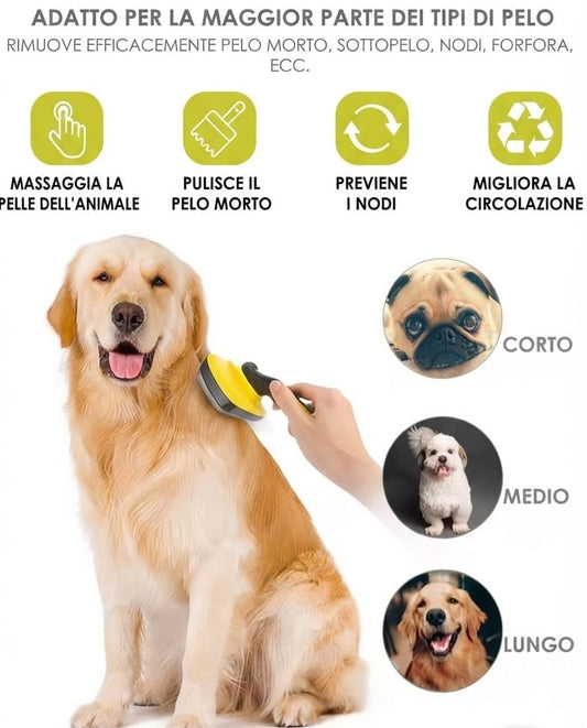 Levapeli Professionale. Fai Tornare i Tuoi Vestiti Come Nuovi